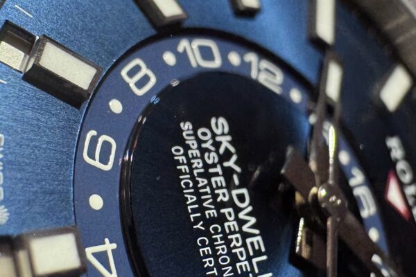 年次カレンダーやGMT機能を備えた万能時計　Ref.336934